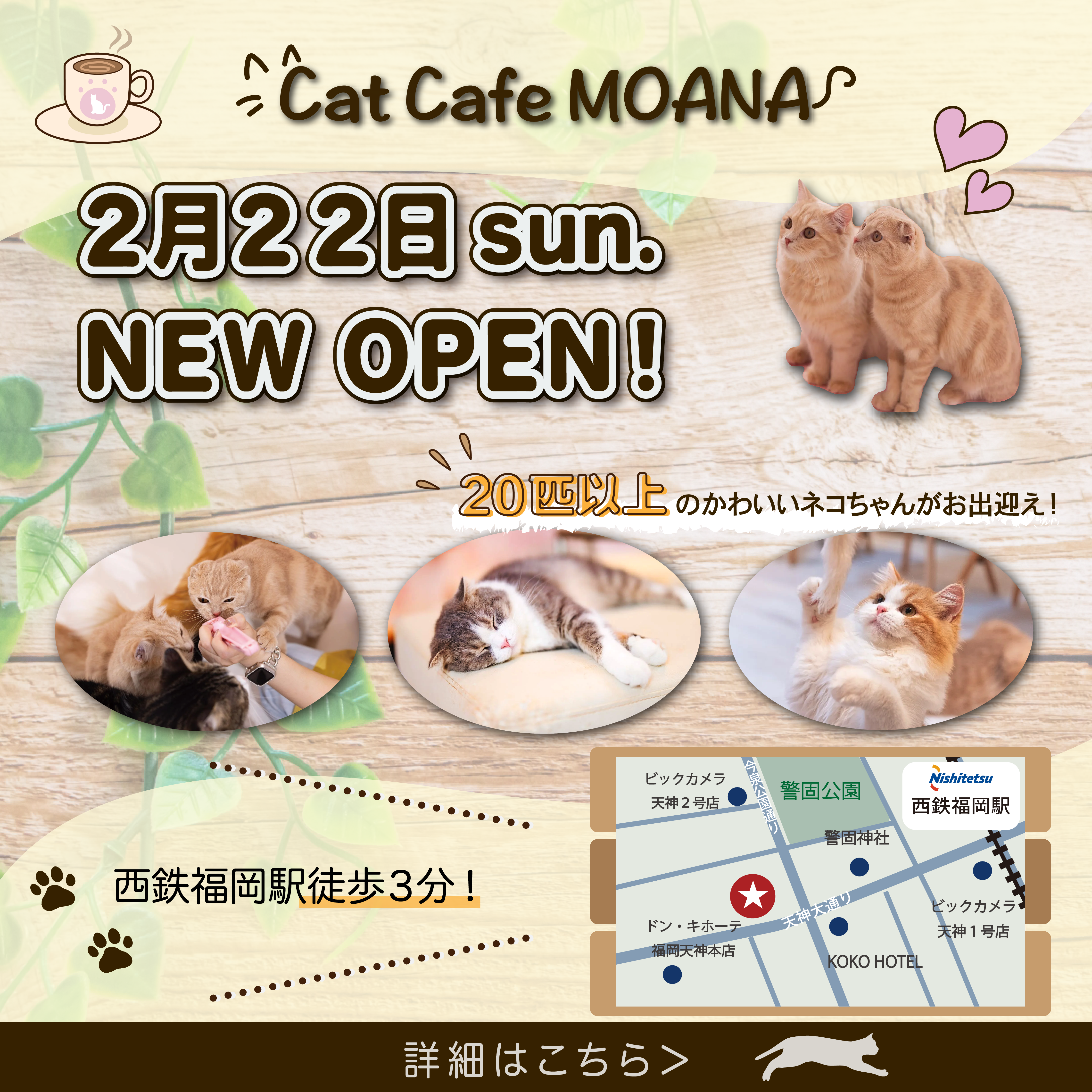 猫カフェのインスタグラム広告バナー