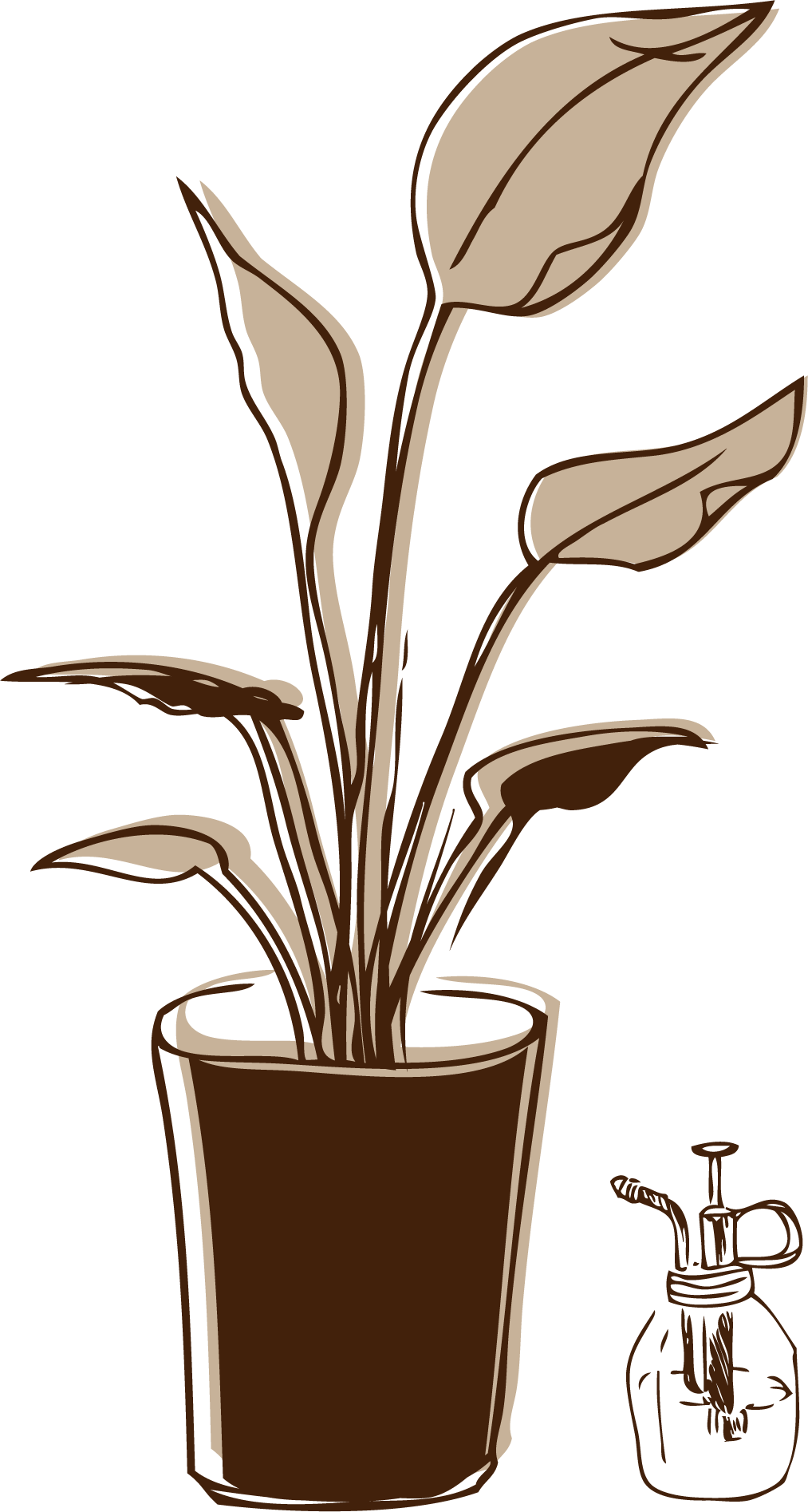 観葉植物のイラスト